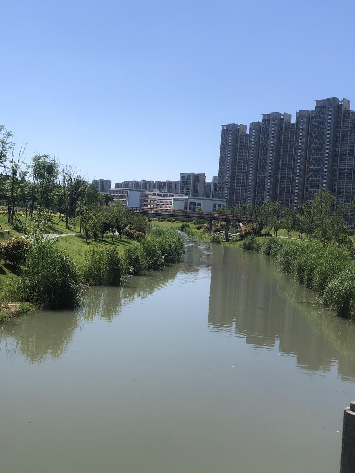 我的今日状态：😁轻松愉快
我这里的天气：☀️晴天
今日的常州天蓝气爽，温度宜人