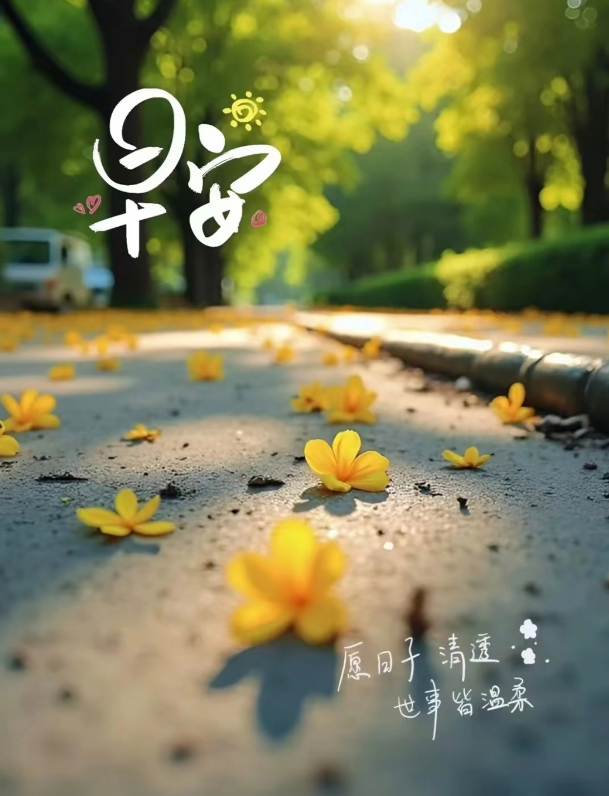 愿清晨的阳光，为你带来温暖；愿生活的美好，伴你左右。愿你心怀希望，笑对生活，一路