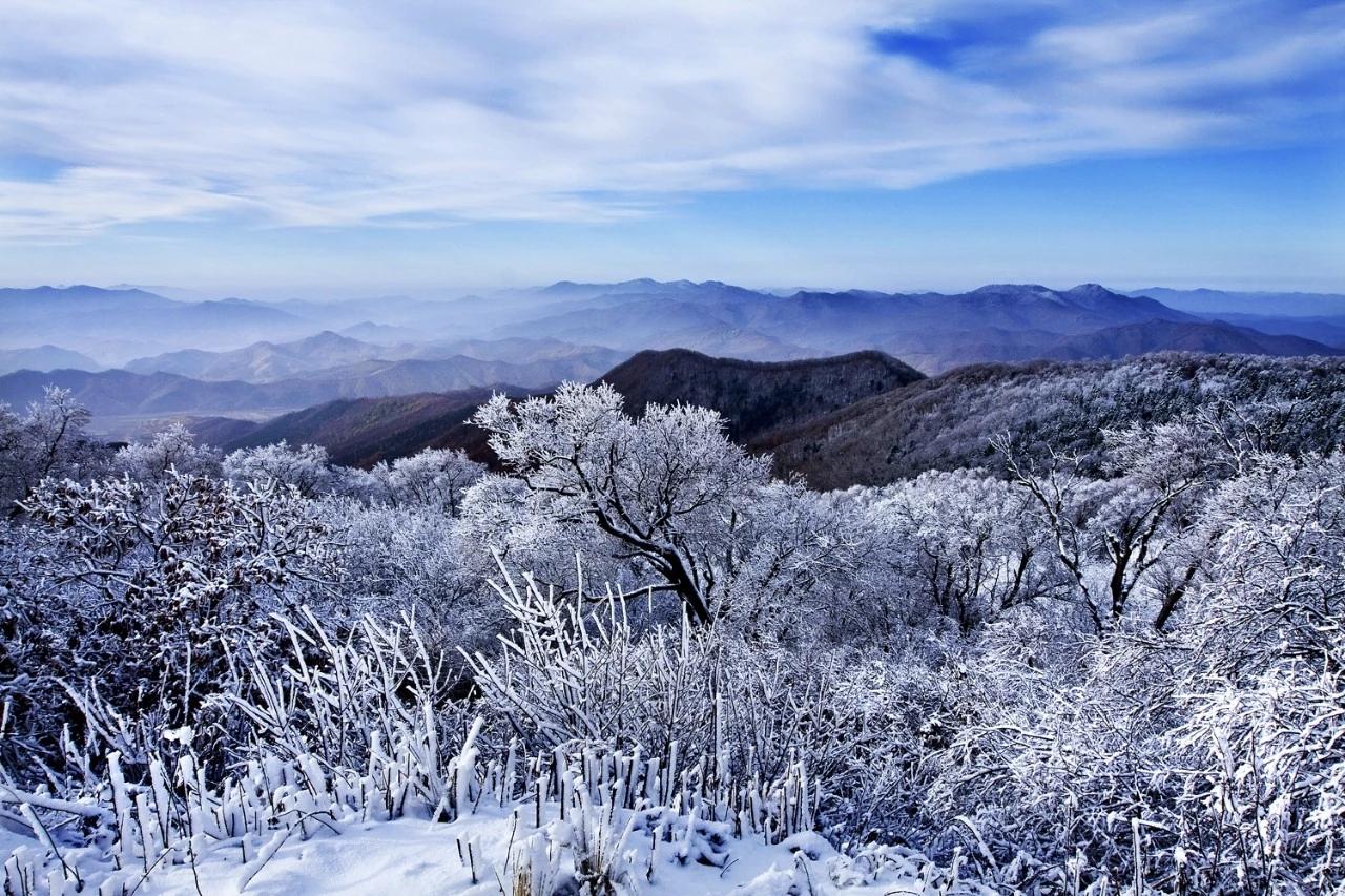 【用卑鄙手段得来的财富，将像烟云一样很快消失】
        用卑鄙手段得来的