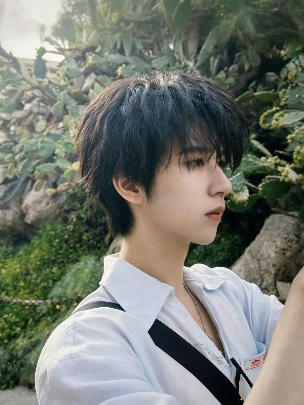 贺峻霖杨超越合唱开场曲贺峻霖与杨超越携手唱响晚会开场曲，少年清亮嗓音搭配灵动甜嗓