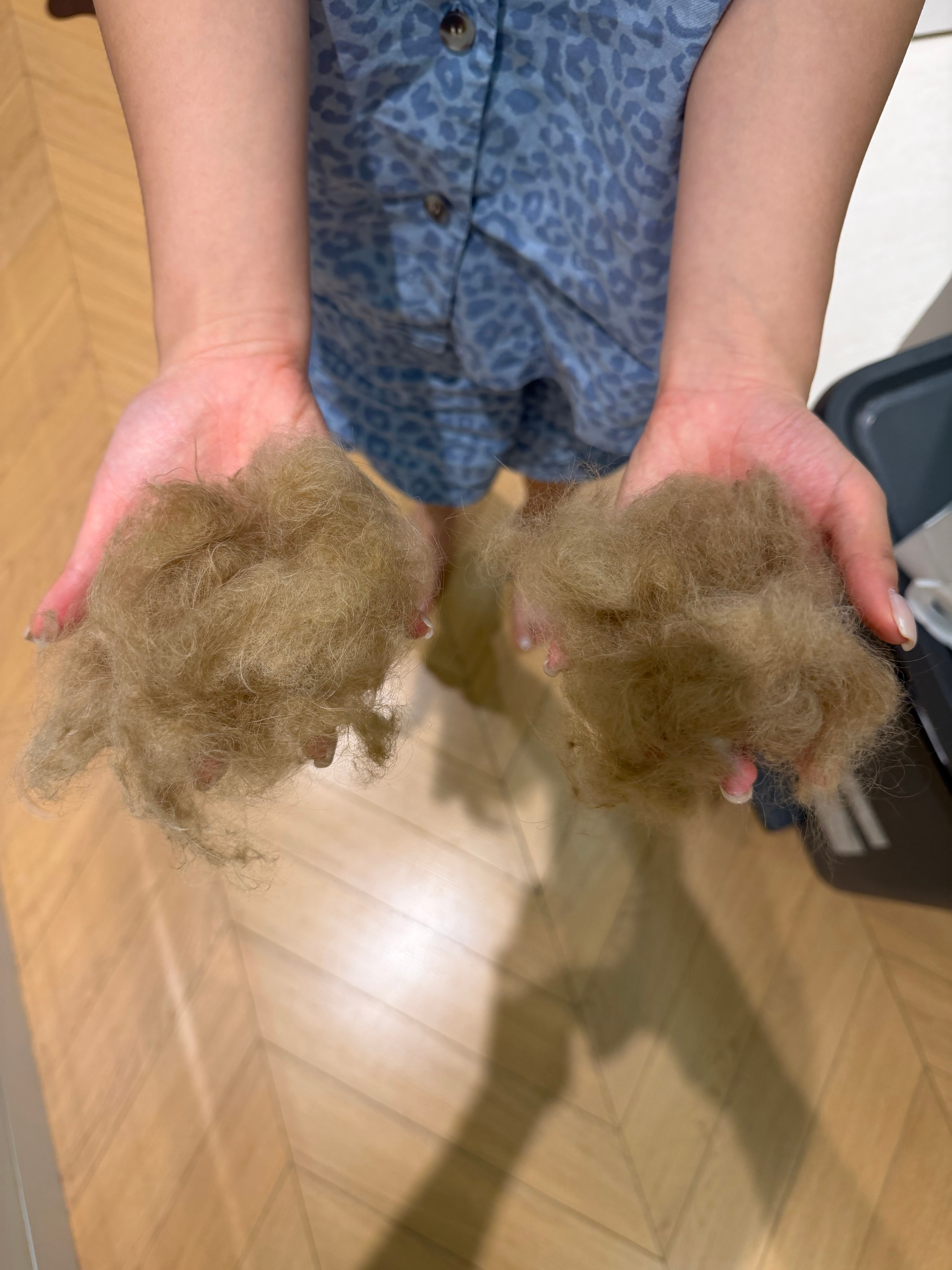 开了三个小时才开完两条腿前侧还有腋下脖子胸口 后腿屁股