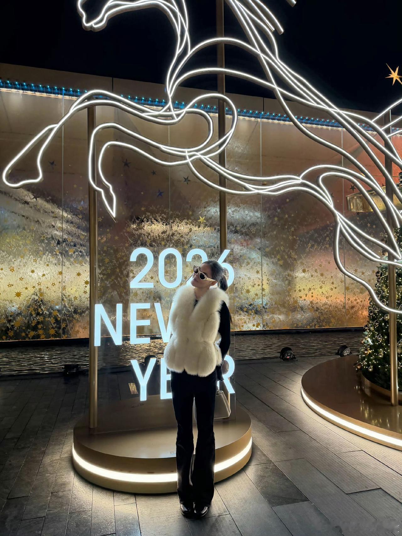 新岁迎春至，欢歌贺新年。