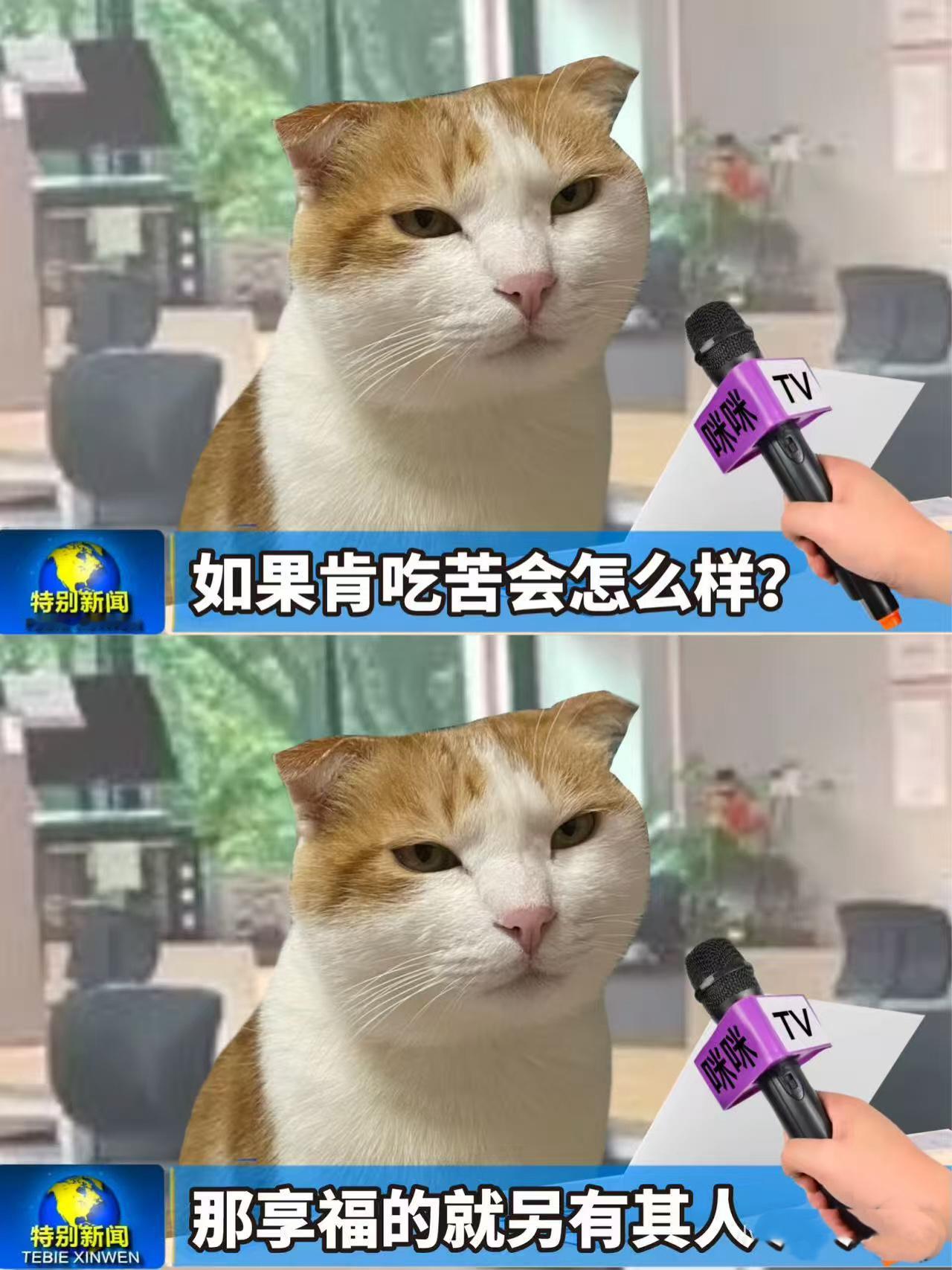 这届年轻人专治没苦硬吃这届年轻人把享受生活玩明白了 这届年轻人把享受生活玩明白，