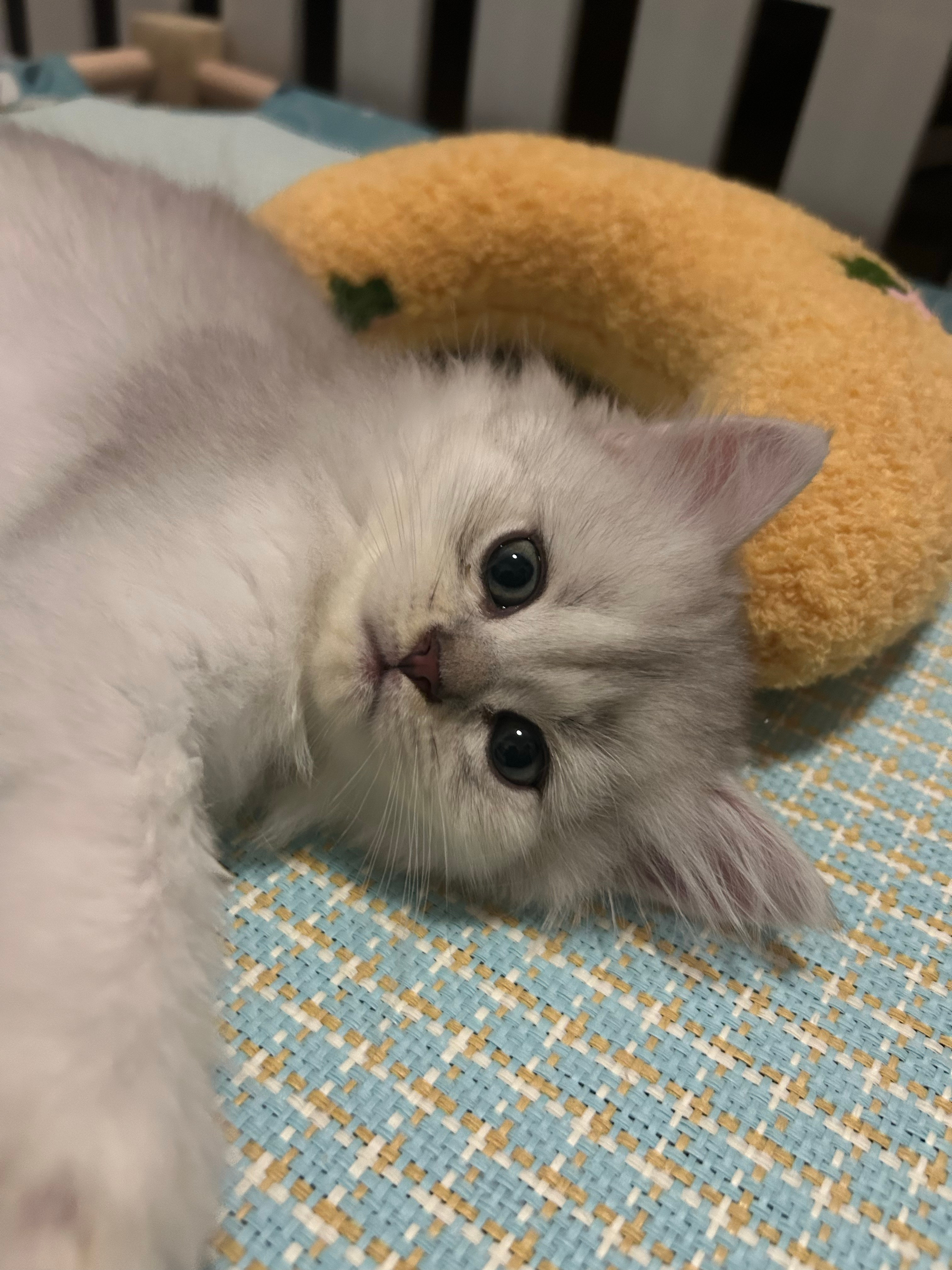🤗