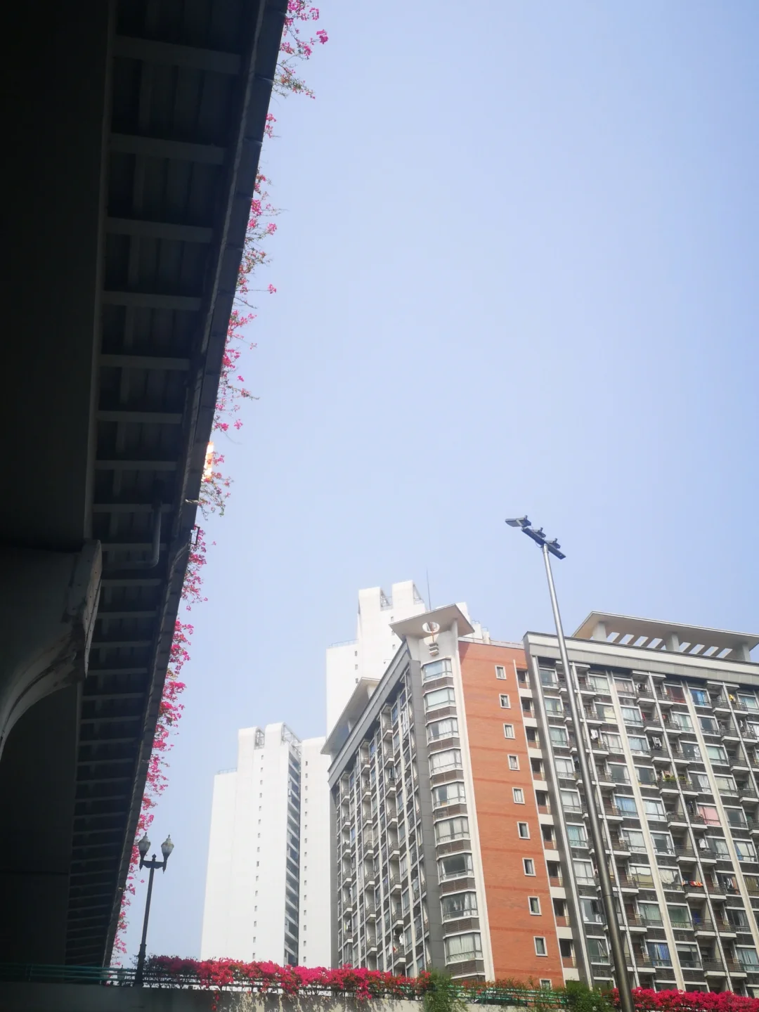 2024成都市属事业单位进面分数来了，就目前大家反馈情况看，市属应该和...