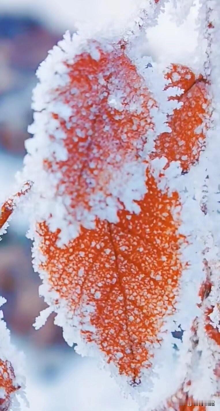 在寒冷的天气里，出门要带帽子，围巾，穿保暖背心 ，穿保暖性好的棉鞋，要带手套。保