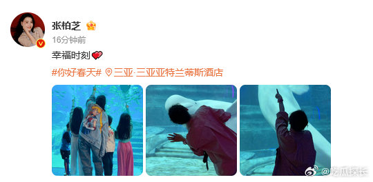 张柏芝幸福时刻 听说是张柏芝在三亚看到了海豚，还带着娃一起互动，这种亲子时光加上