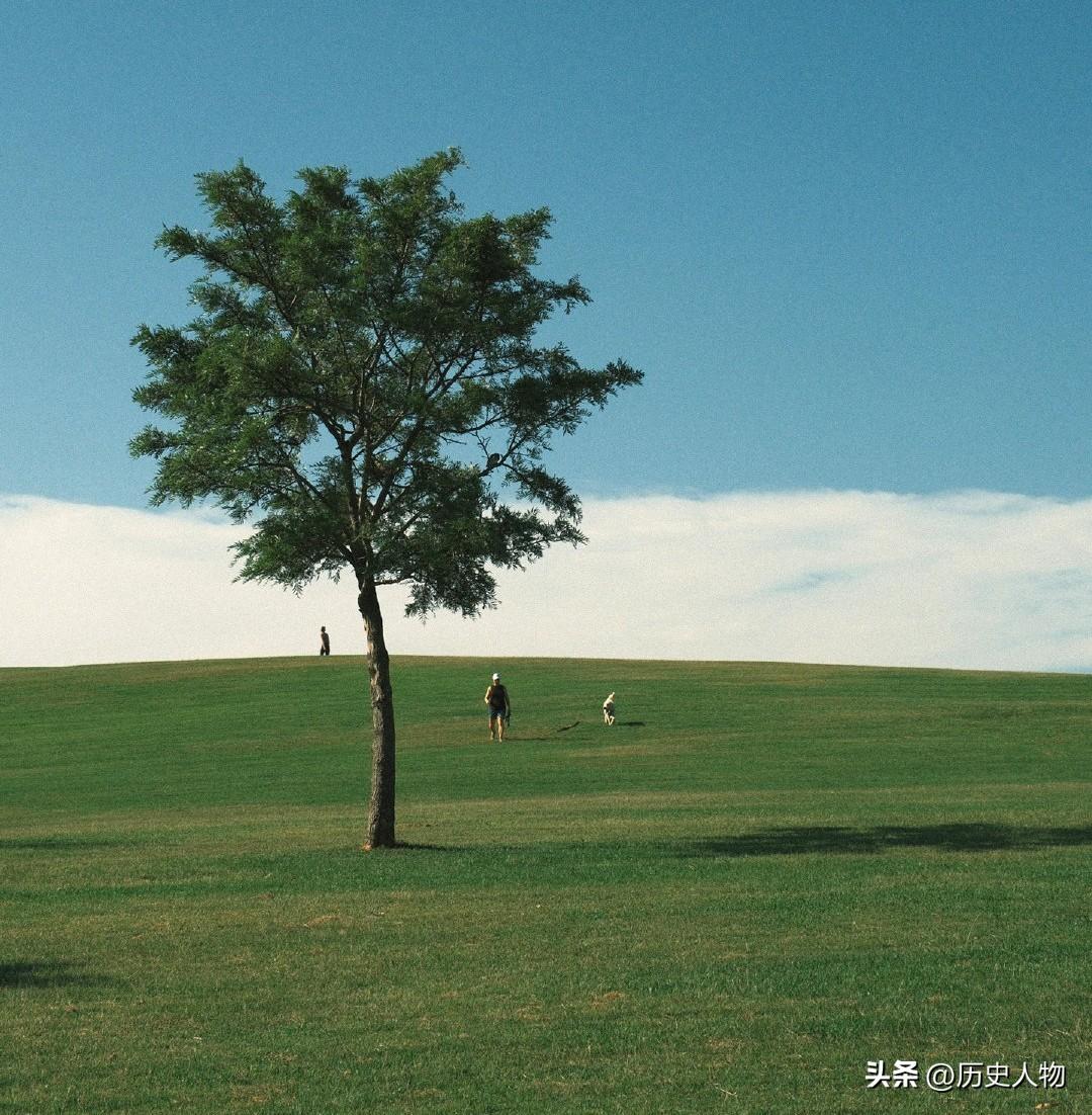 在广阔的草原上，一棵树静静地伫立，远处的两个人影在阳光下漫步。