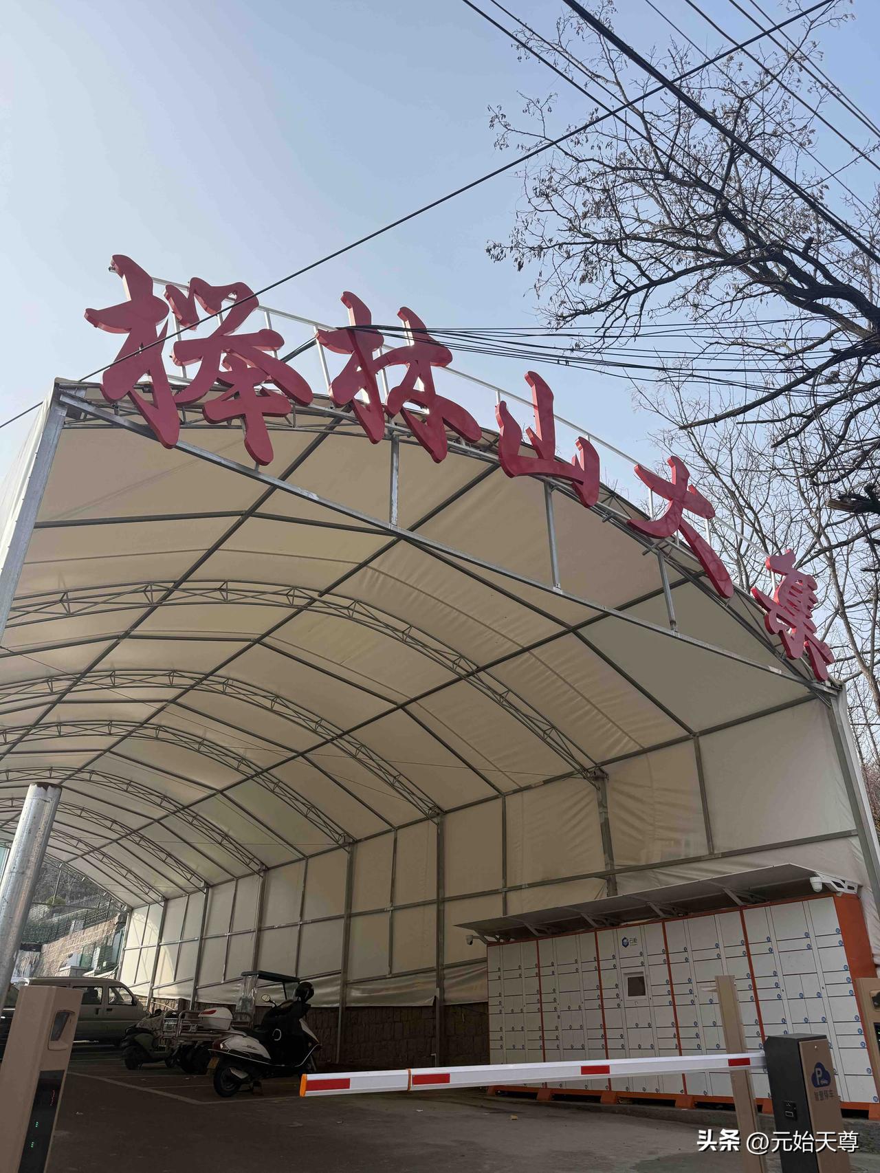 春日生活打卡季我昨天上午去了趟青岛榉林山菜巿场，我也有好几年没去了，这是市场整修