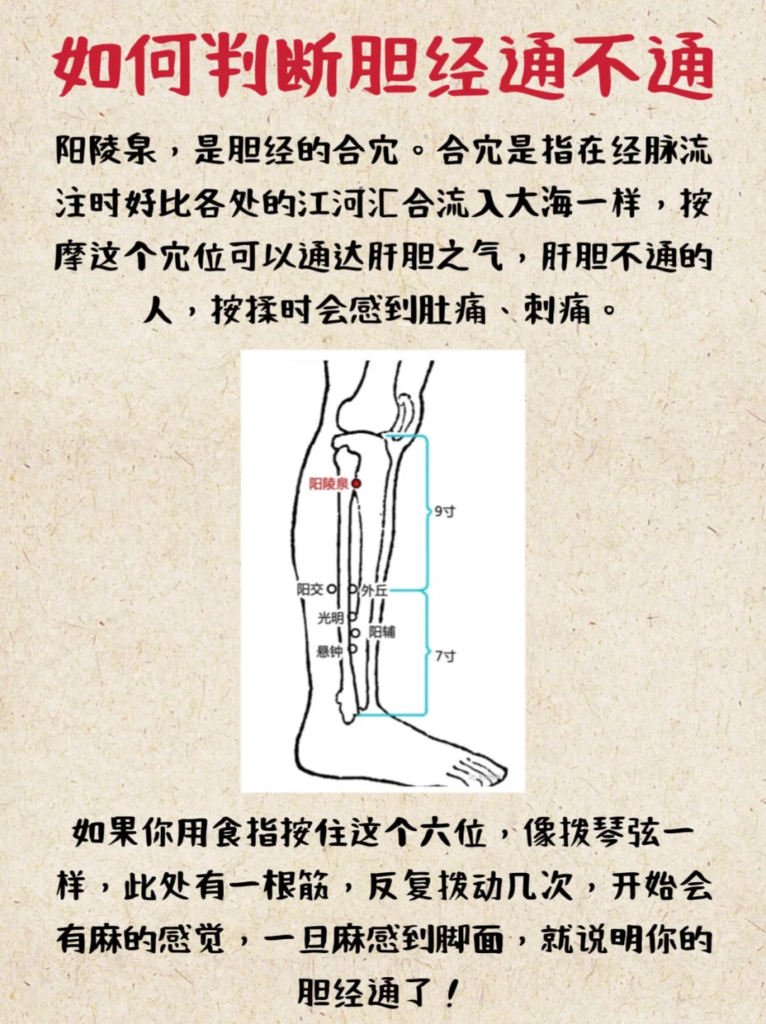 如何判断✅胆经通不通⁉️