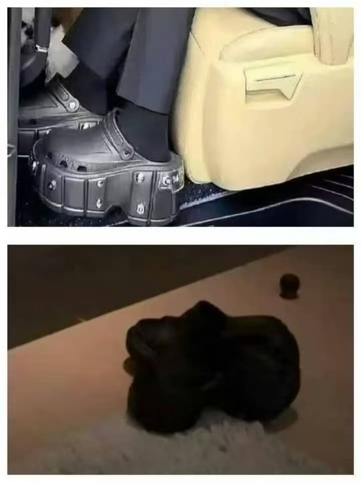 谁懂啊，给我笑到了 