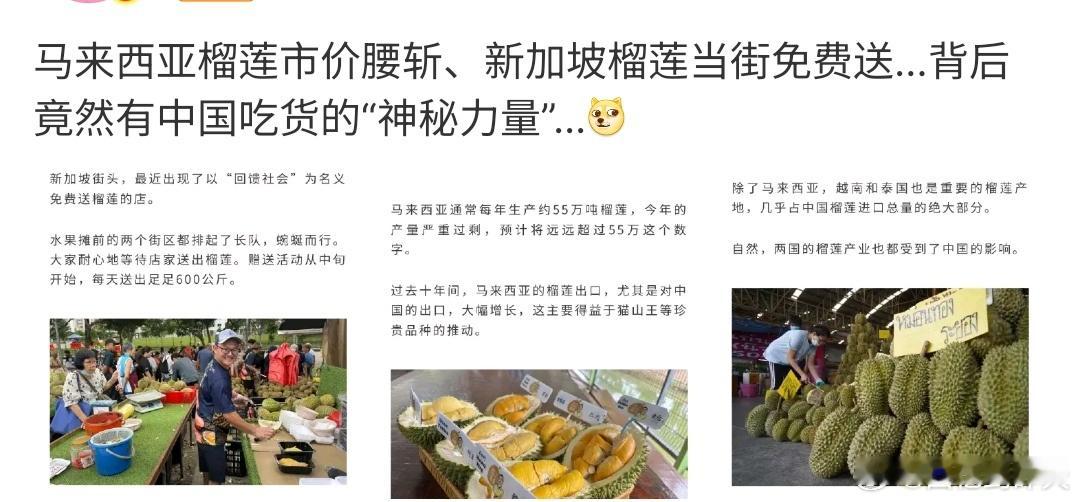 新加坡榴莲当街免费送这是什么情况啊，新加坡榴莲当街免费送，有人发现马来西亚和新加