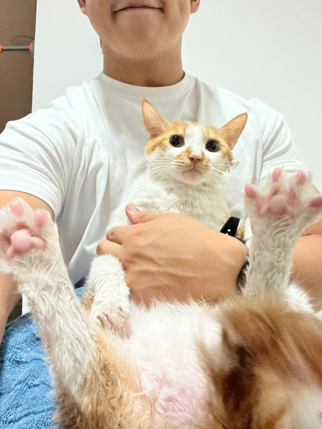 “奖励”怀民洗个澡