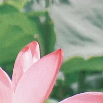 每日一善阳光‎信用 当努力到一定程度，幸运自会与你不期而遇。愿你依旧生如夏初活如