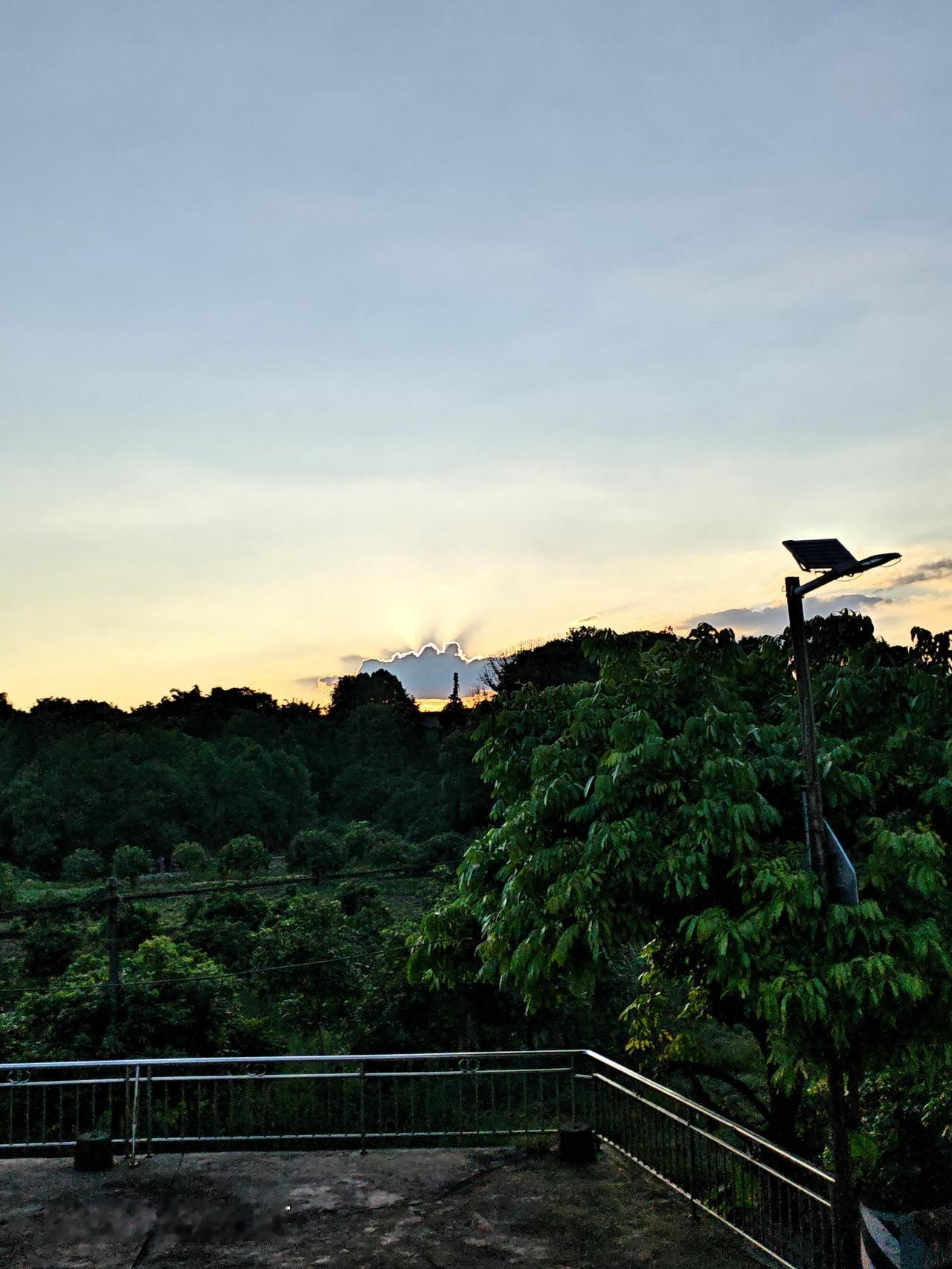 农村山野看夕阳，茂密的树林在夕阳下美如画。