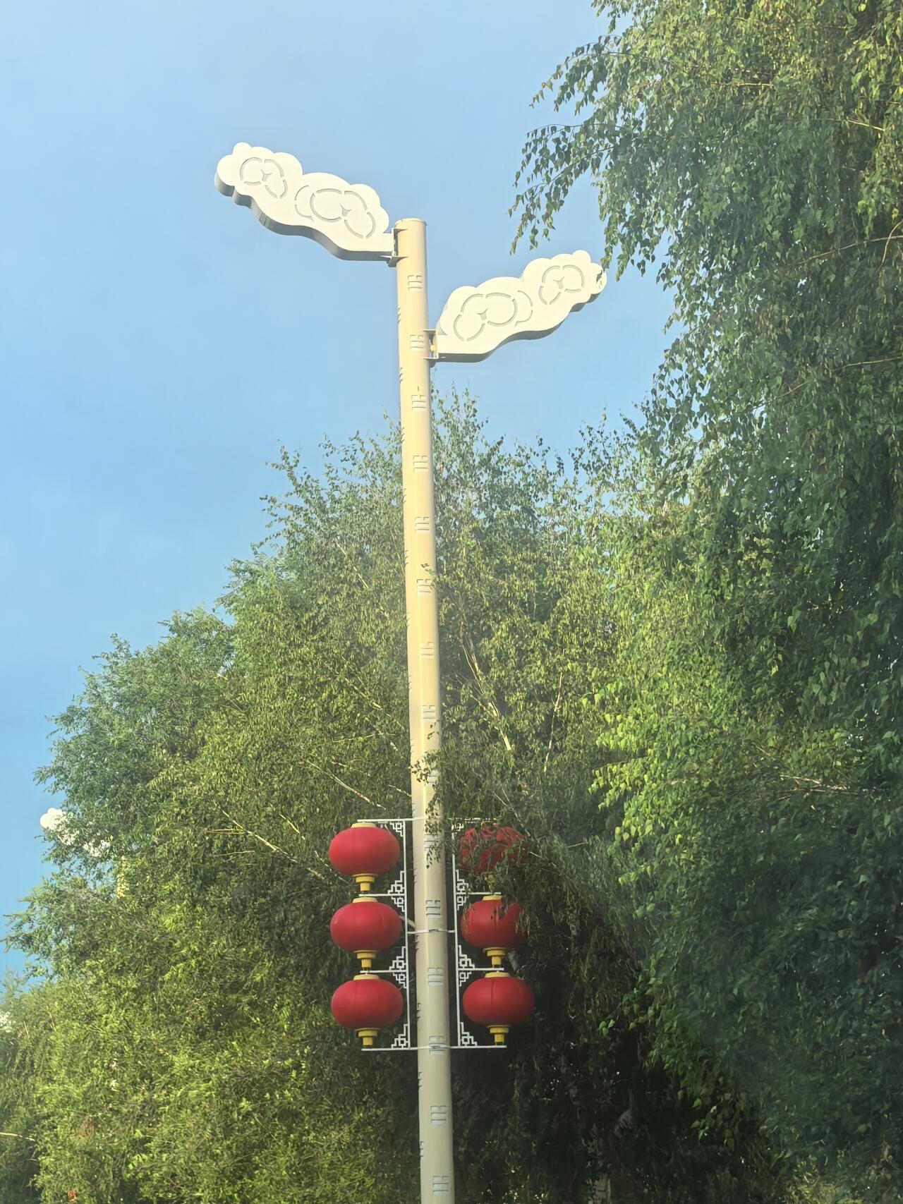 新疆人执着于安装各种款式的路灯 