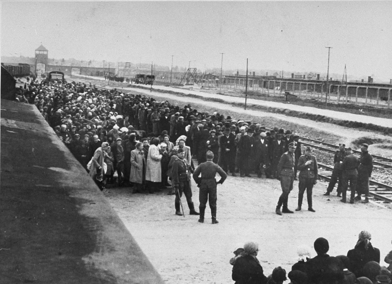 1944年5月，来自喀尔巴阡山脉地区（当时属于匈牙利） 的犹太人在奥斯...