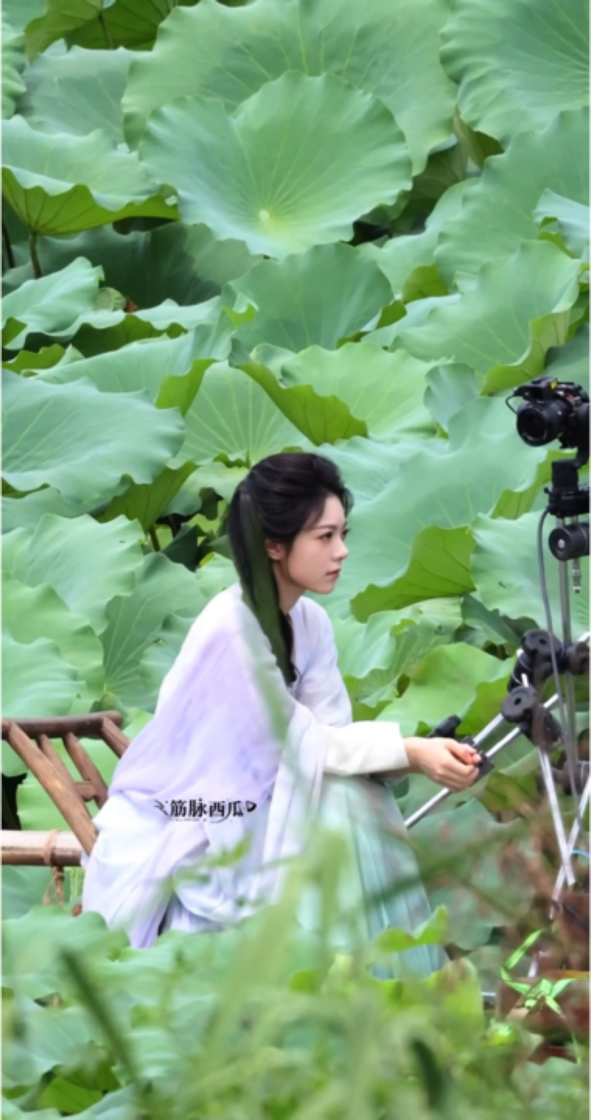 “兴尽晚回舟，误入藕花深处”太漂亮了小麦素净一张脸🪷赵今麦素净一张脸赵今麦一念