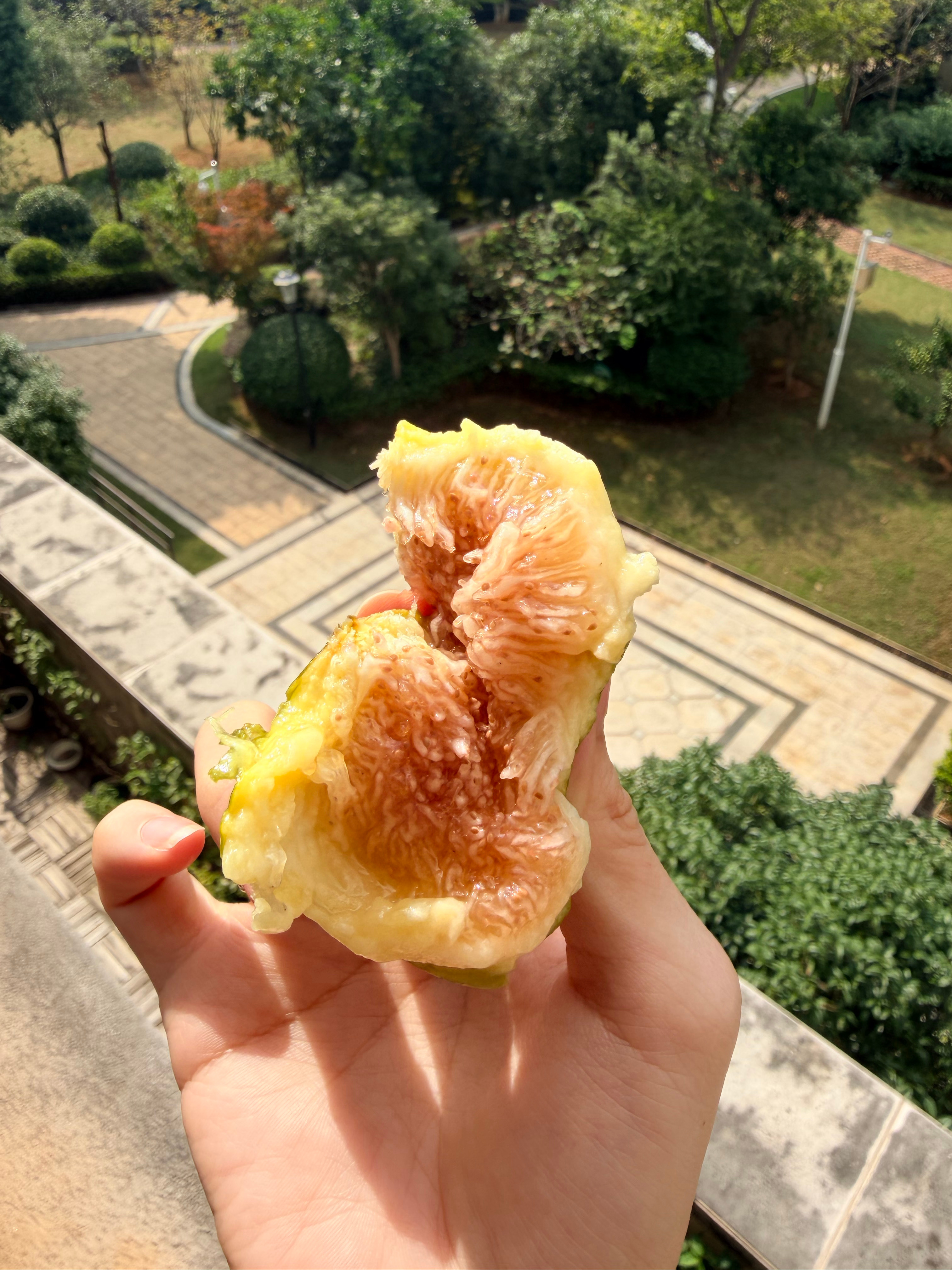 什么是快乐星球！终于买到满意的梦幻和格莱斯了[点赞][点赞][点赞] ​​​
