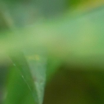 阳光信用‎阳光‎信用 ‎每日一善 善良是一种美德，善良是一种远见，善良是一种自信