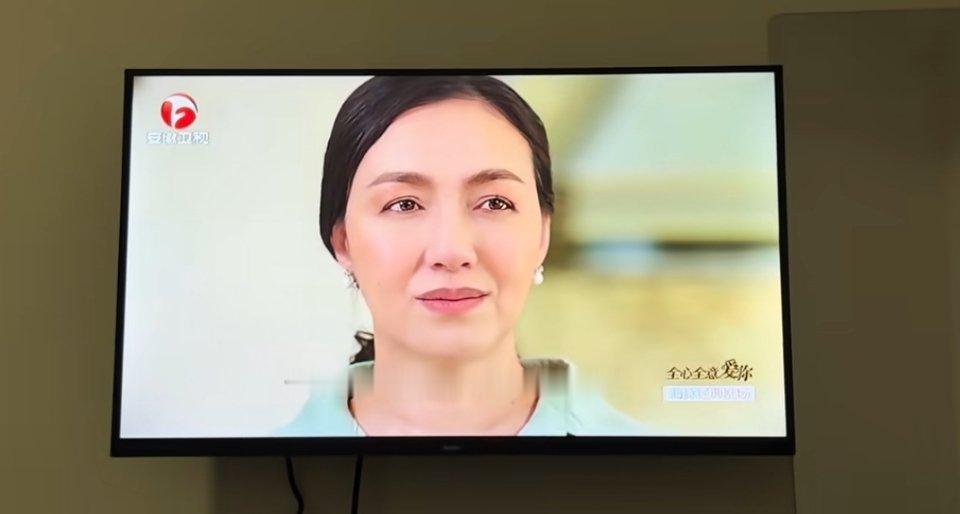 我在安徽卫视看见了咩