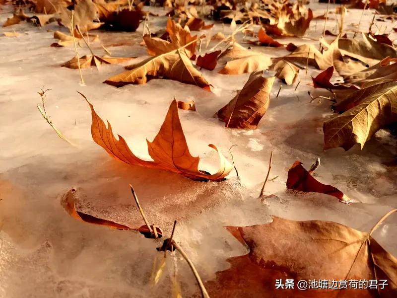 看到“天寒地冻人间冷”这个上联，瞬间就感觉寒意扑面而来。这上联把自然的寒冷和人间