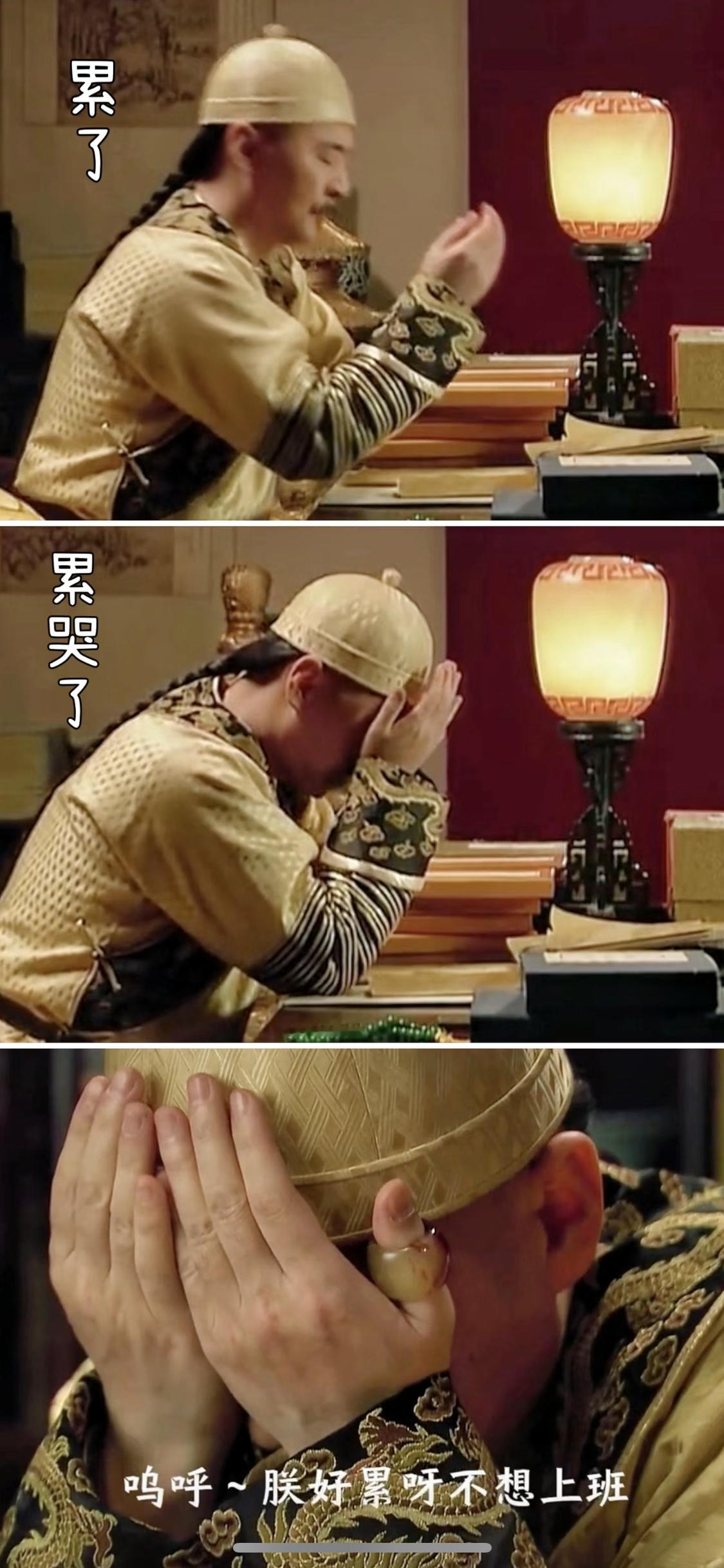#谁给陈建斌报的名#你们的脑洞也太大了吧？居然让真的猫和大胖橘来一个battle