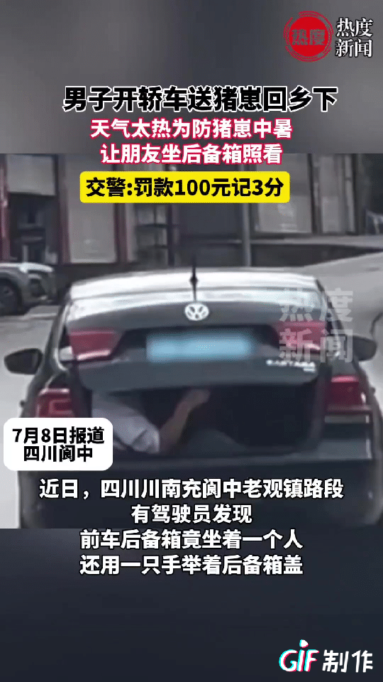 四川阆中一男子购买了两只猪仔准备开车送回乡下养，他把猪仔放在后备箱，但又害怕路上