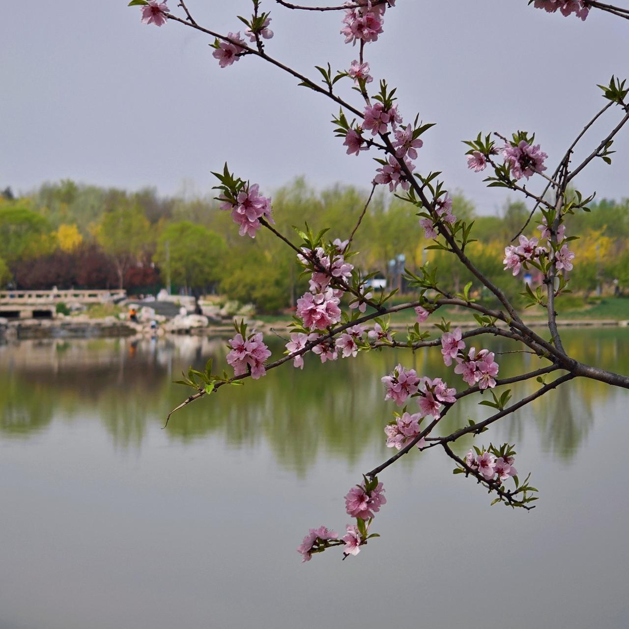 北京温榆河公园顺义园区《故城记忆》