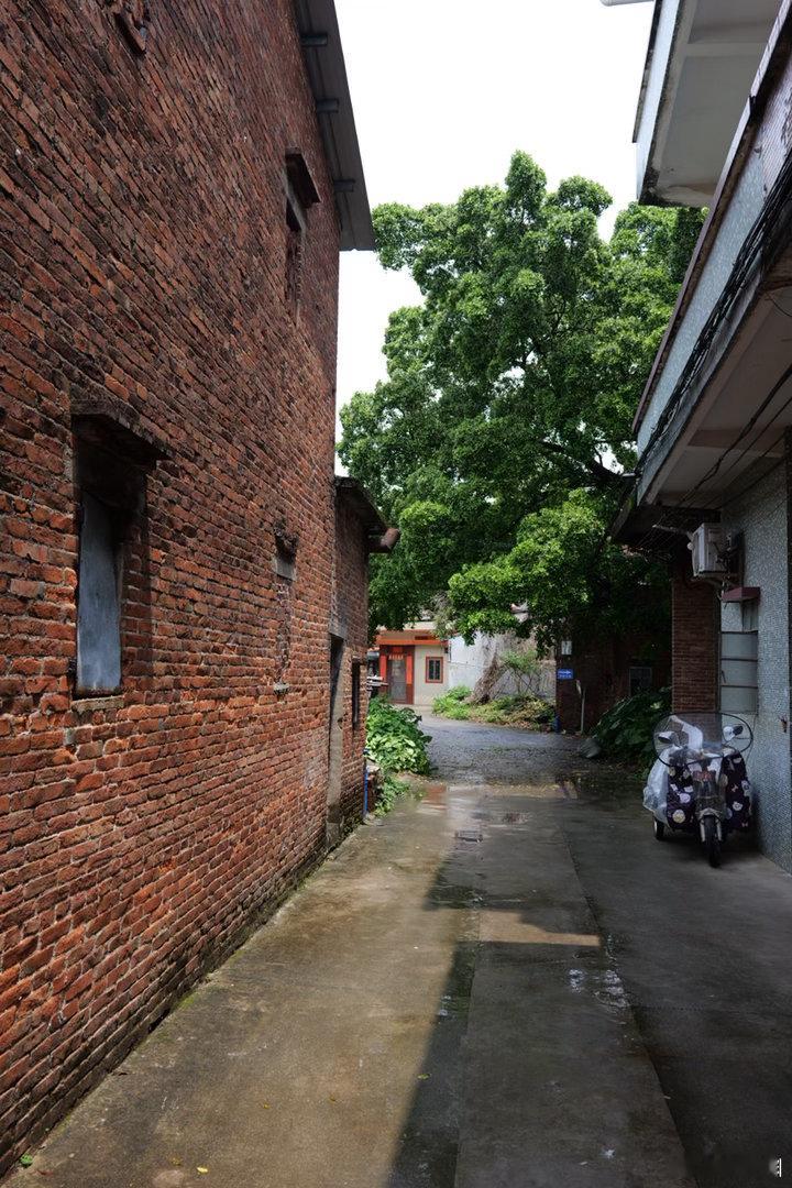 节日快乐，五一节日快乐，献上增城土江村的风土人情乡村跑乡村摄影人文街头漫拍 松下