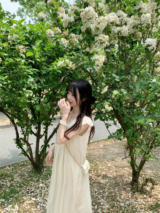 春日来信 绣球花开‧₊˚ 🕊️