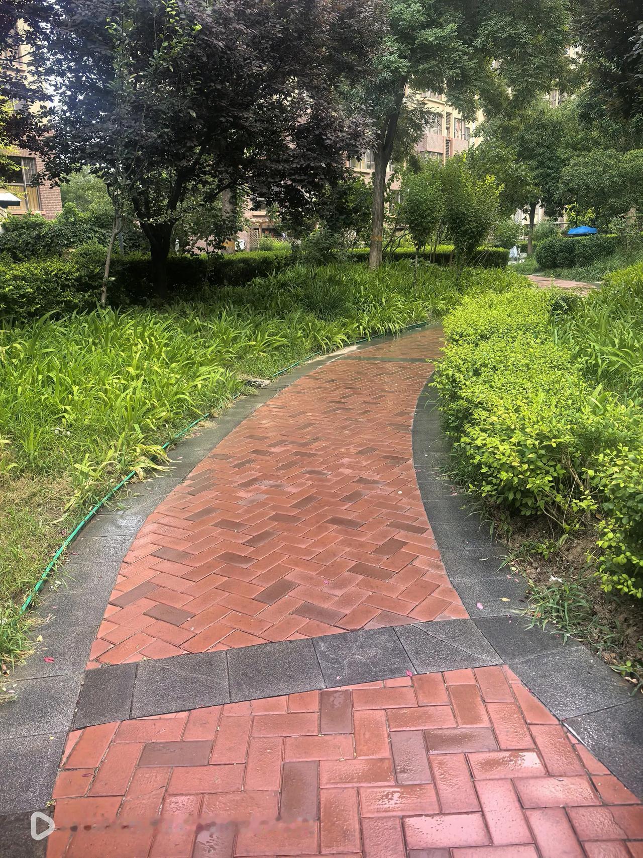 这天儿可真有意思，足足憋了两天，今天傍晚时分终于下了一阵儿雨，打了两声雷，刚刚湿