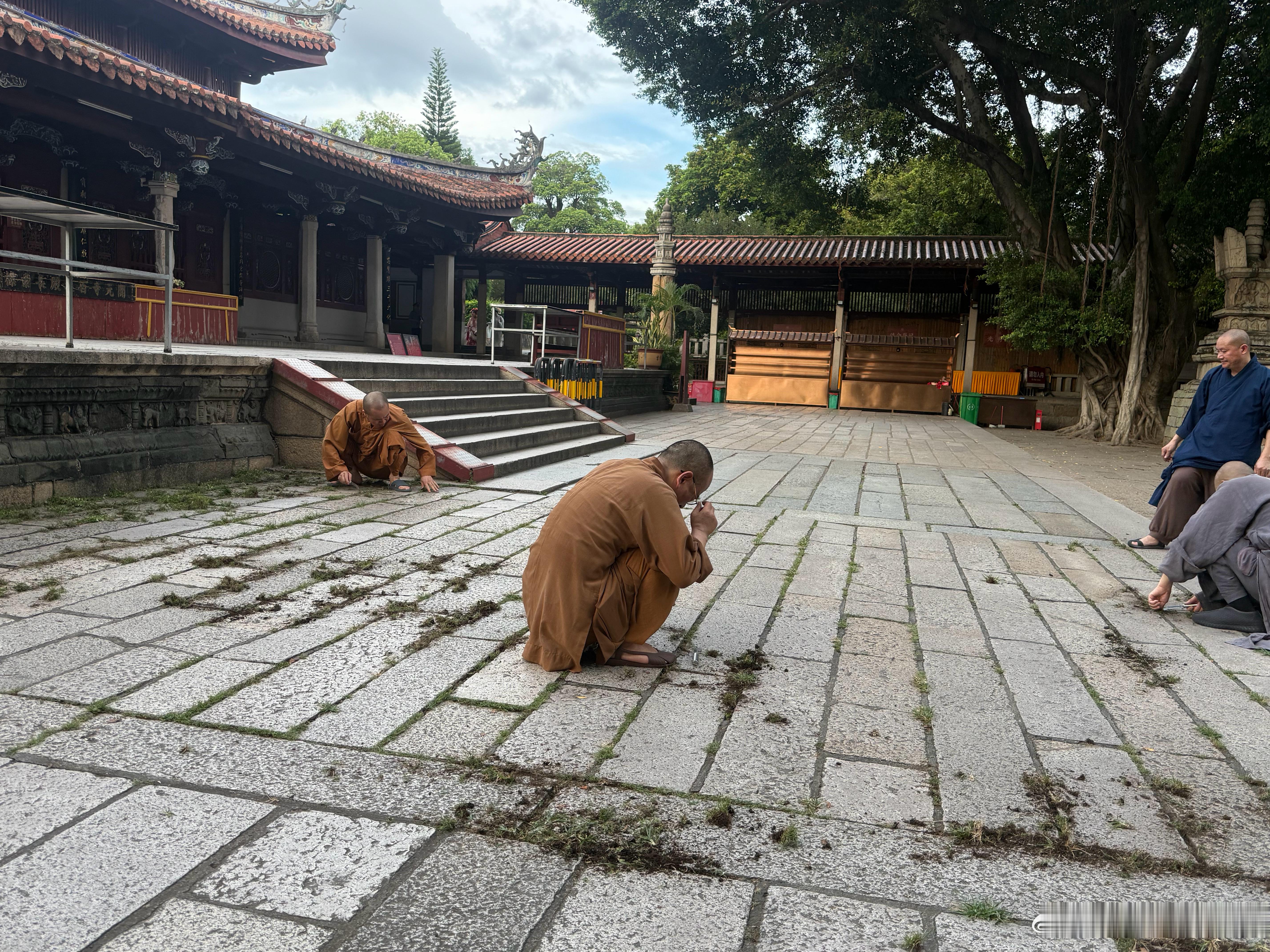 清风有闲，岁月可念，清风悄悄，吹过城市的街巷，在人们的耳边，轻卷起发梢，那朝暮来