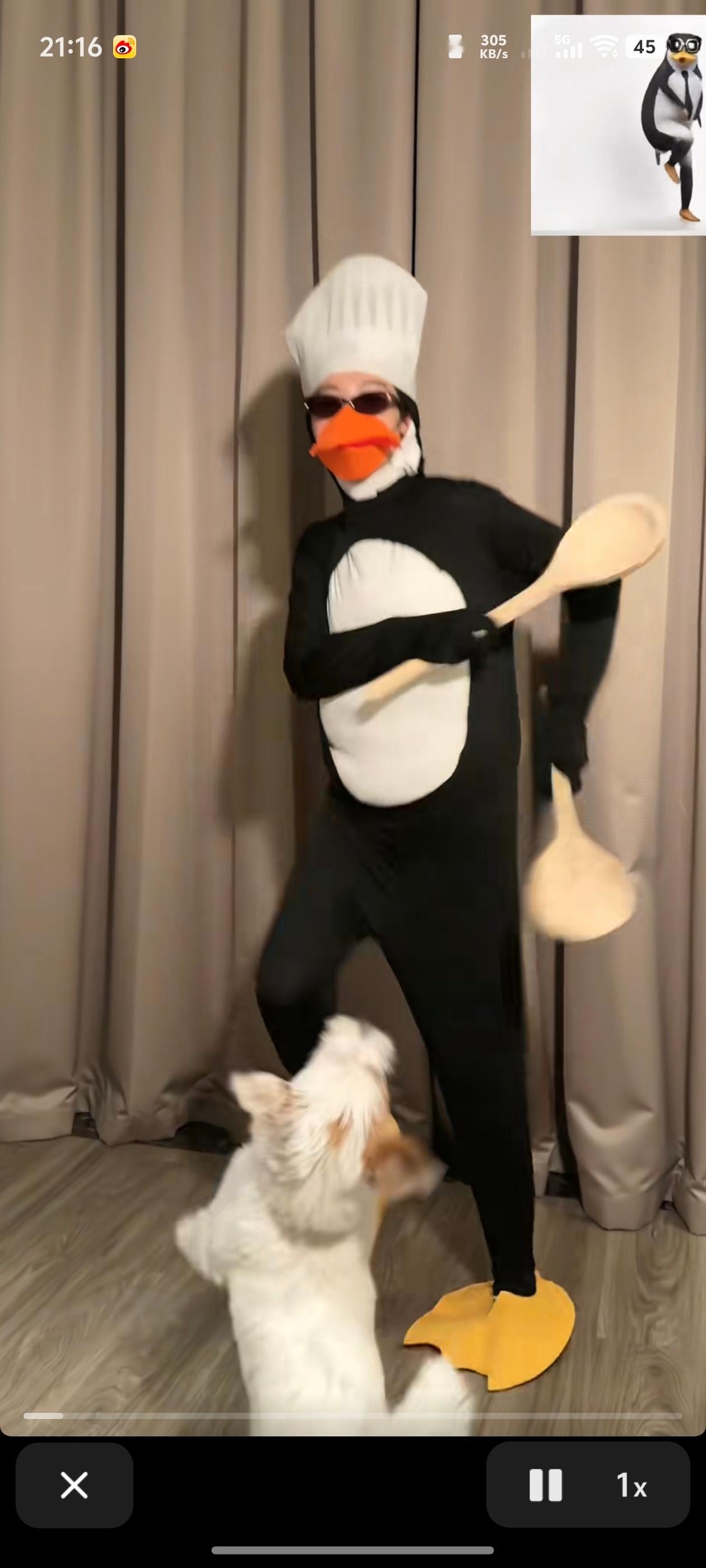 多少钱能让卢昱晓把这条视频删了当我知道这是噜噜晓的时候已经晚了 ​​​