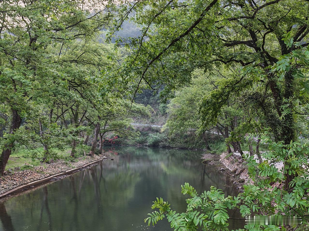 35岁，大厂，N+1赔偿！换作是你，你会怎么选？
        昨天刷到个事，