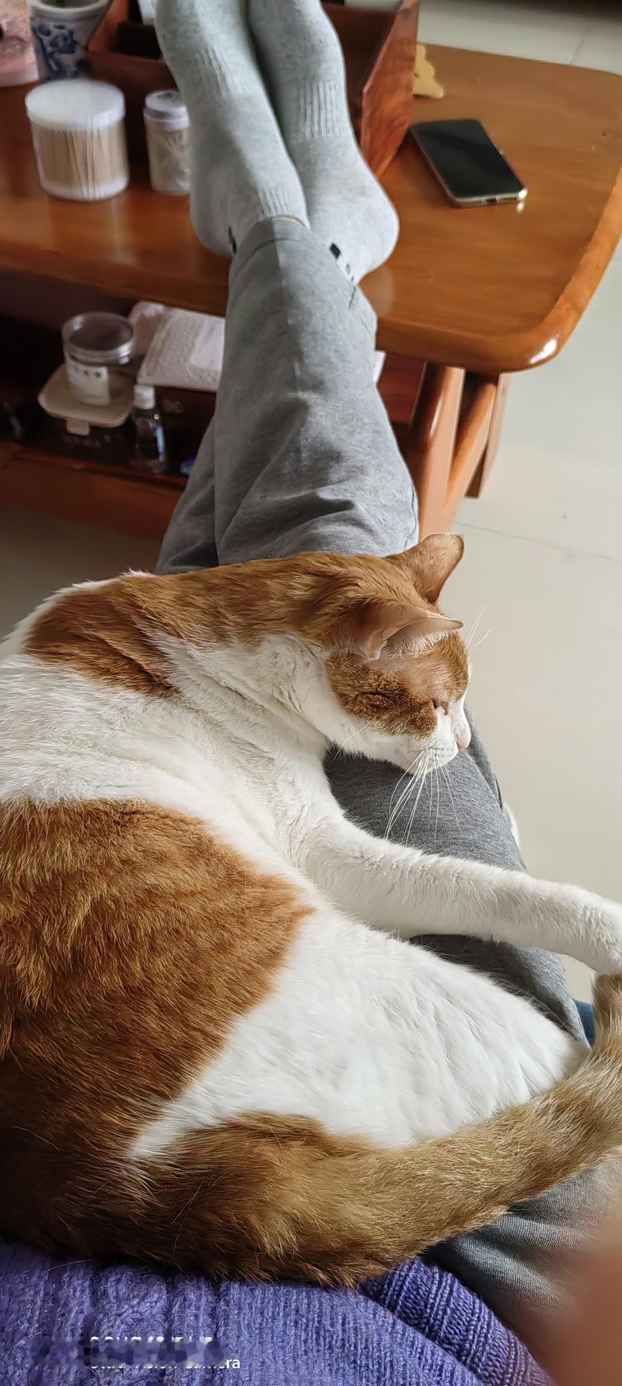 不服气的小朋友