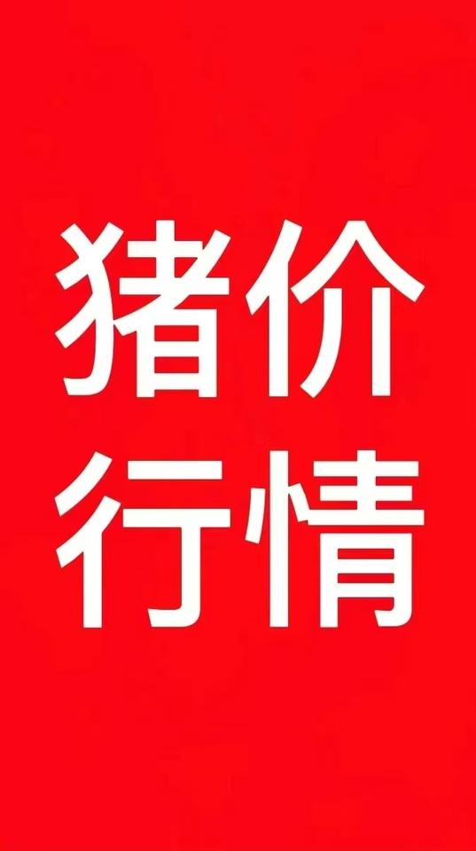 今日全国猪价！猪 猪价