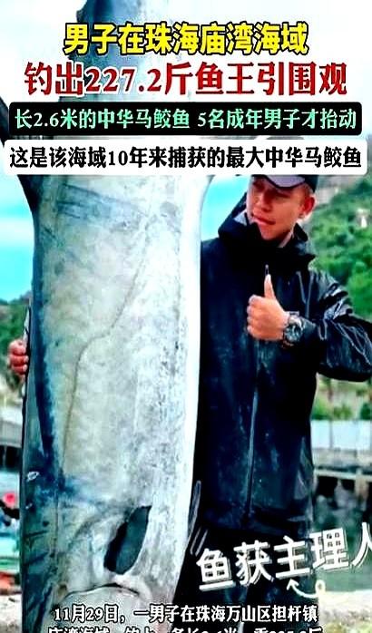解释不清了！珠海，男子在海边钓鱼，没想到鱼竿突然被一股巨力拉扯。

这股来自深海