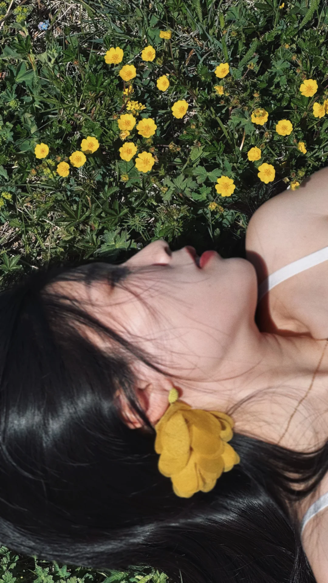 赛里木湖🌲故事的小黄花🌼