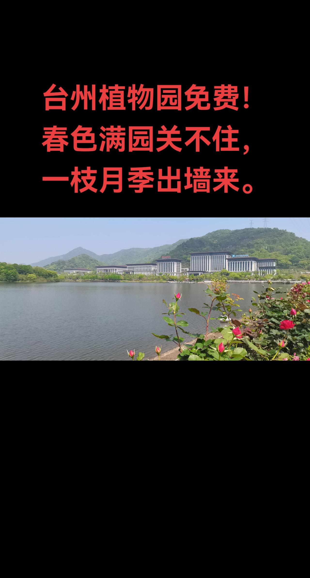 在台州，不用买门票的景区有两个，一个是国清寺，另一个是台州植物园。其实，在中国，