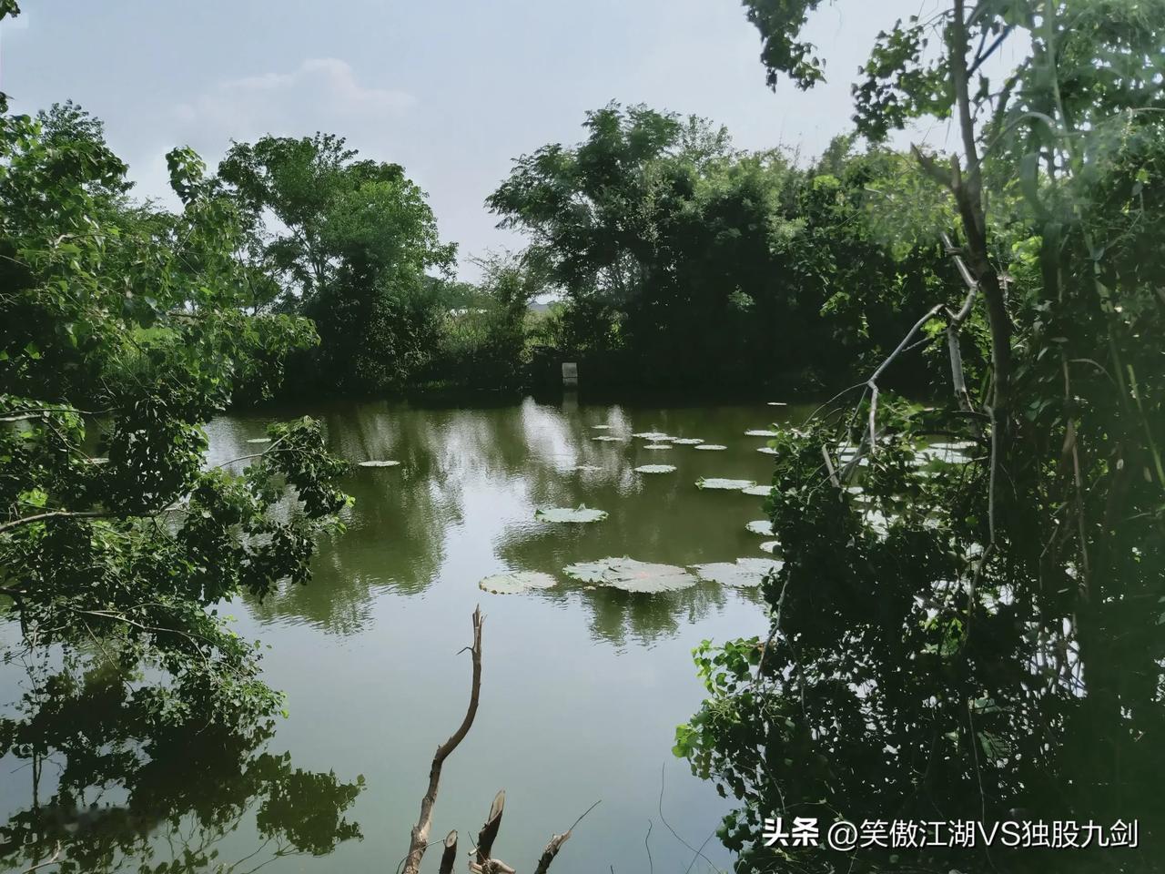 人上了一定的年龄就喜欢自然的环境，股市也一样，钓鱼先钓小鱼，有小鱼的地方肯定有大