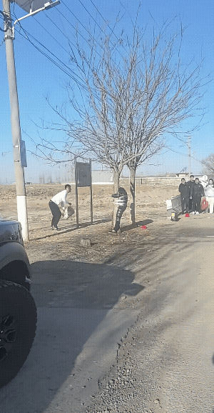 这样的婚闹谁能受得了。有人说，如果这是当地风俗，那就不值得同情。他们是相互的。