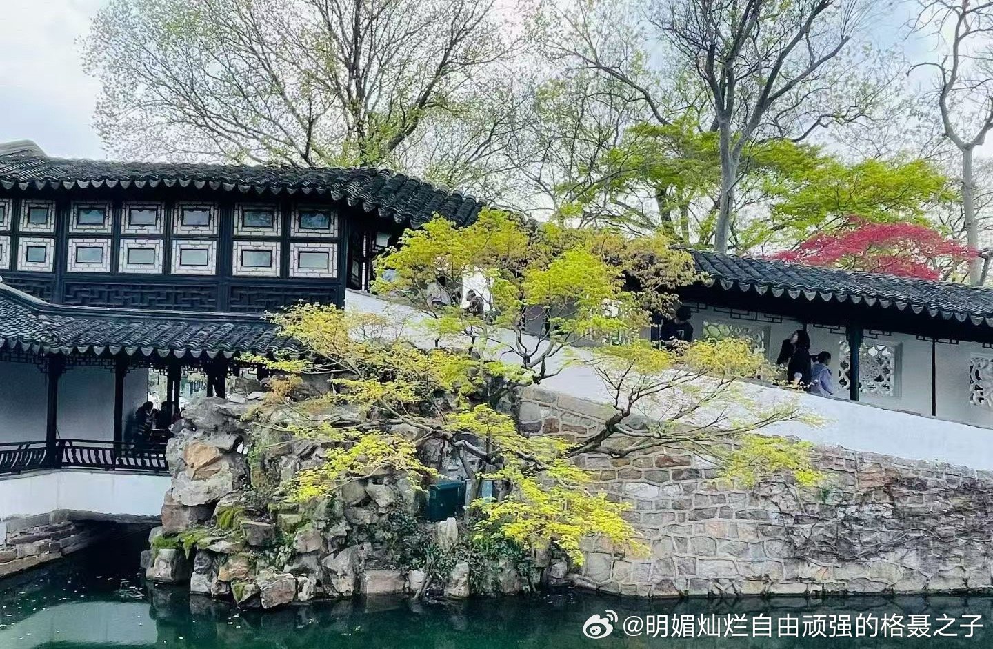 舒展，呼吸，感受 