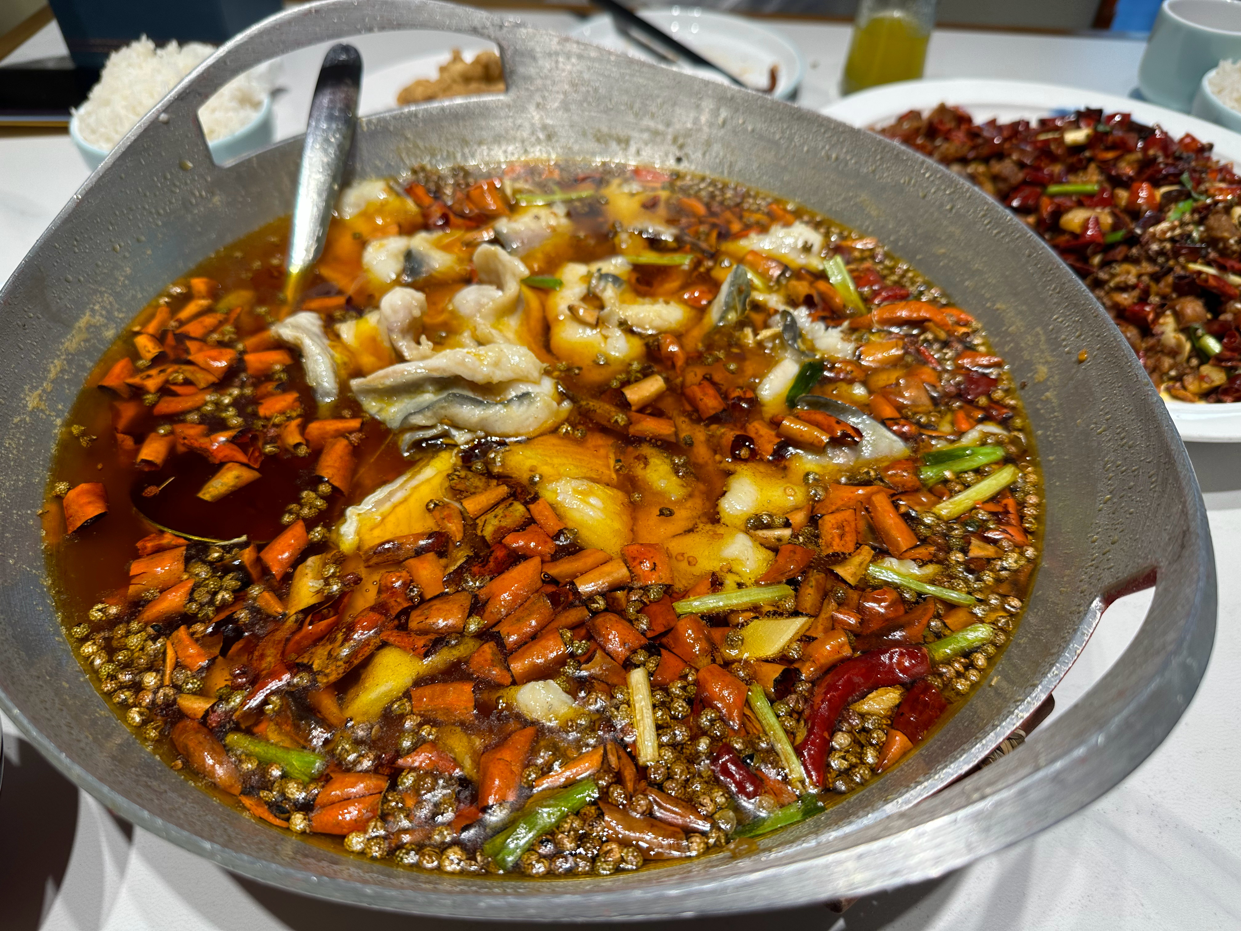 不健康的东西容易上瘾，对不？比如高热量的披萨，水煮鱼，辣子鸡，擂椒皮蛋 ，葱油饼