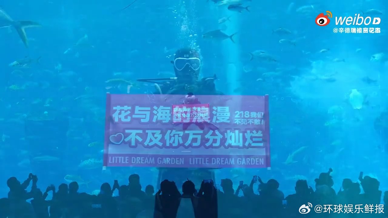 半亩花田给迪丽热巴的海陆空应援太震撼了，海和空的应援视频超浪漫，热巴真的太幸福啦