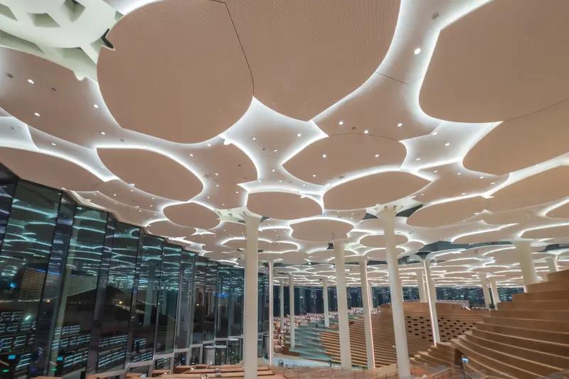 A1由中国研制而成，因此，采用汉字命名故取名“智库”，这个名字就像是人们用智力精