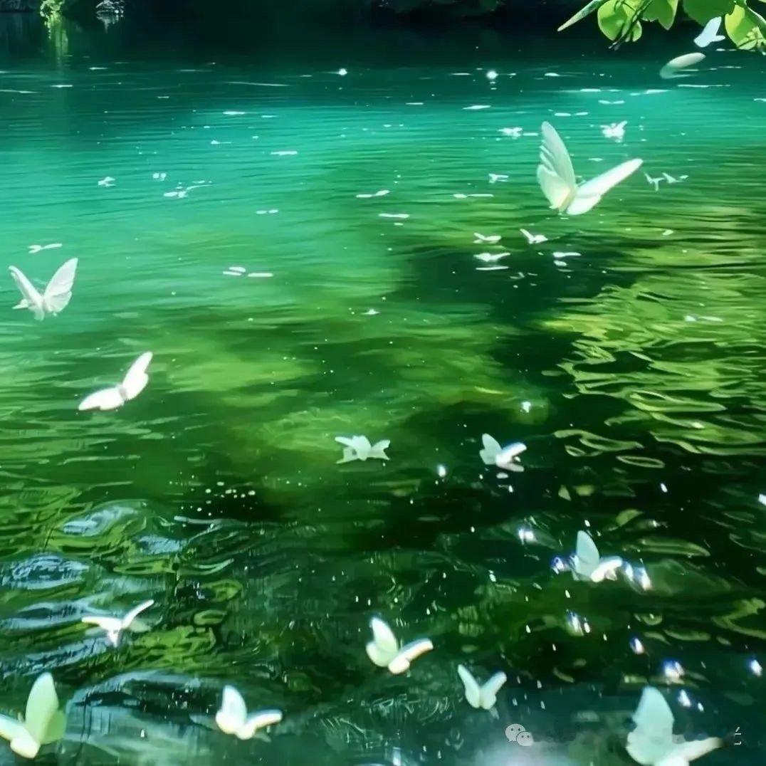 ❤️·͜·°𝐄𝐧𝐣𝐨𝐲 𝒍𝒊𝒇𝒆很通透的一段话：“饿时馒头贵，