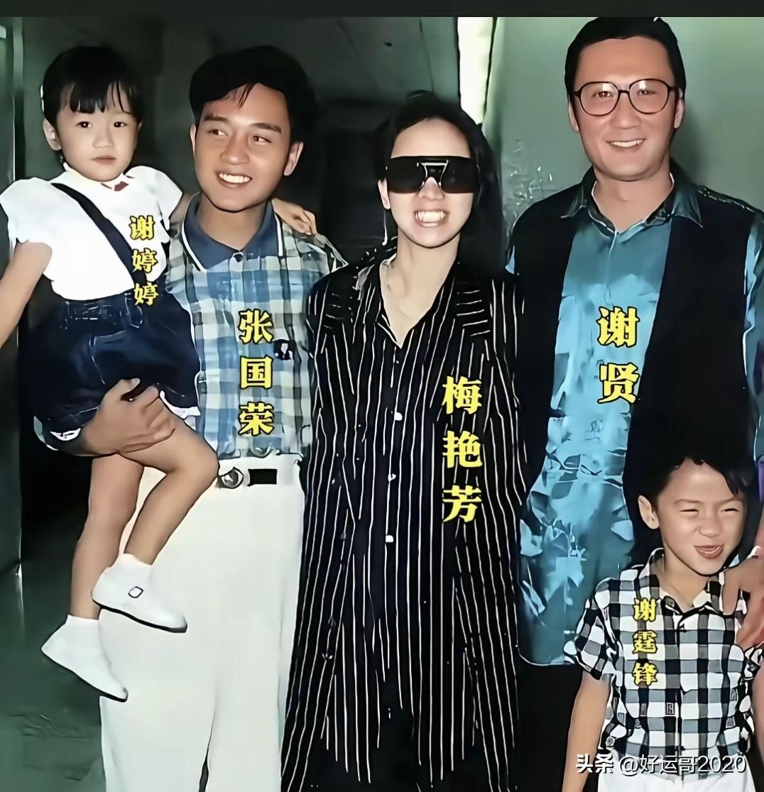 谢婷婷小时候张国荣还抱着她合过影，谢婷婷小时候就很漂亮，看她的长相像爸爸谢贤。