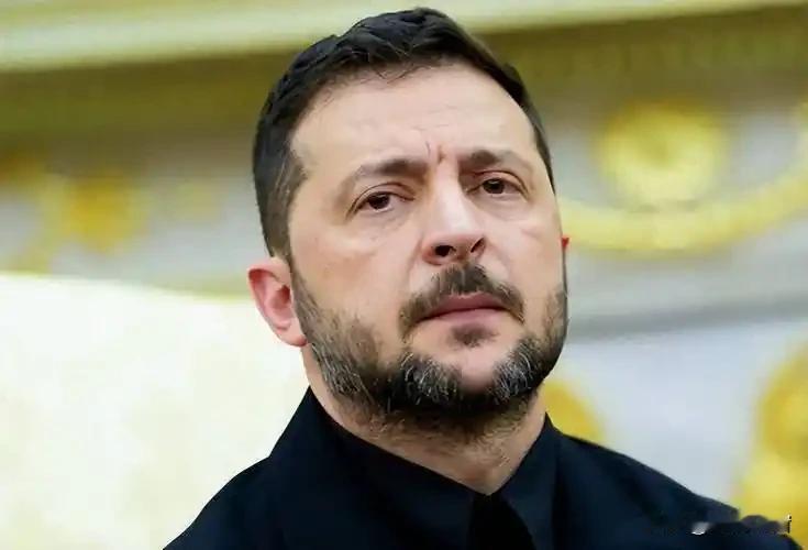 泽连斯基急着要访美，虽然嘴上喊着是“国土细节磋商”，实则是场关乎政治性命的“后路