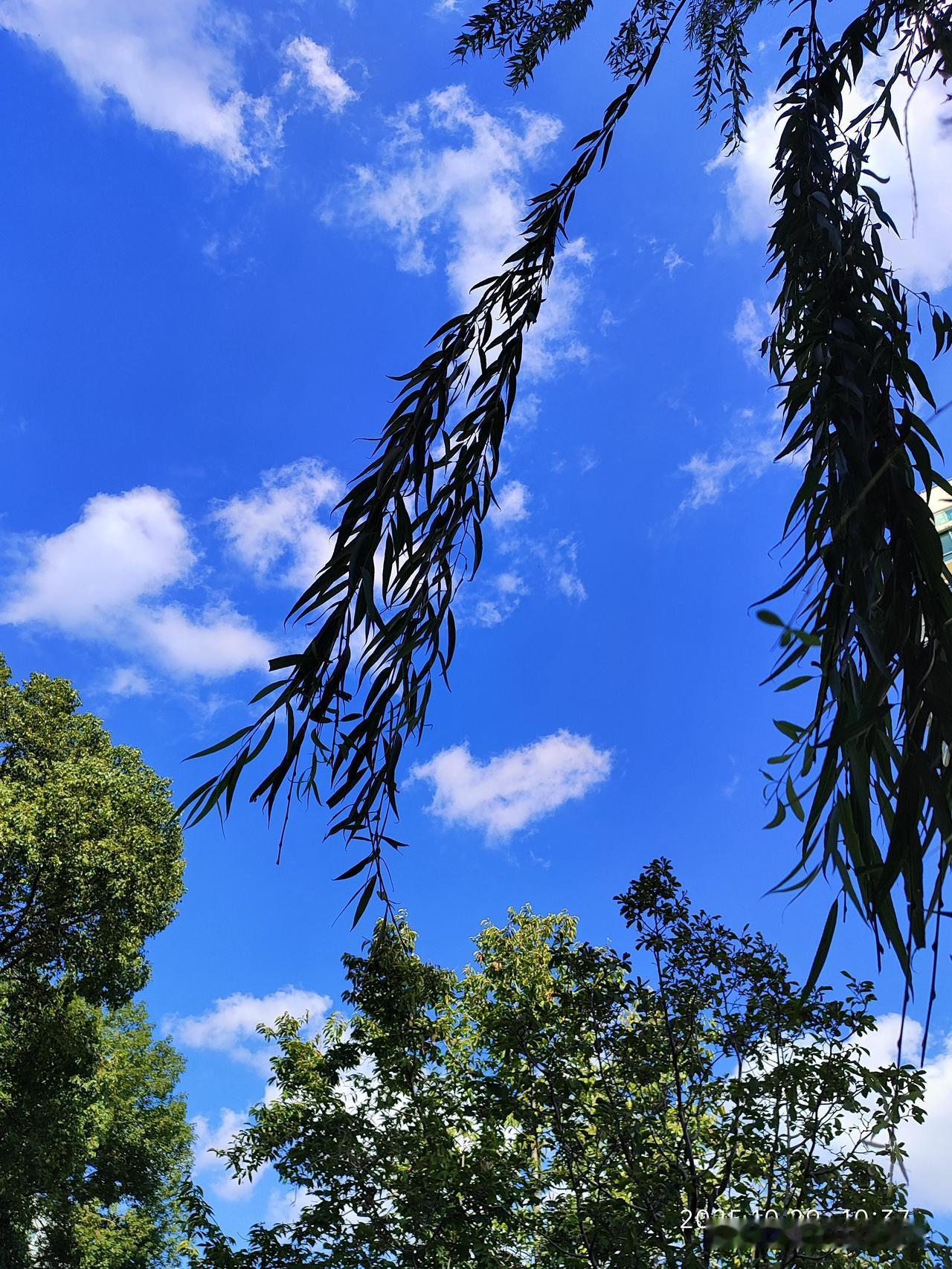 一大清早遇到两女人，爱说闲话爱拍马屁的长舌妇，爱抱怨的废柴！！！真的，一天好心情
